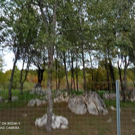 Apartman Deda Rakovica Esterno foto