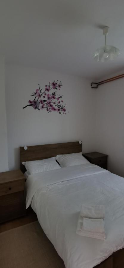 Apartman Deda Rakovica Esterno foto