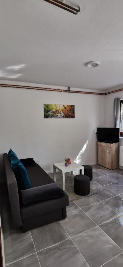 Apartman Deda Rakovica Esterno foto
