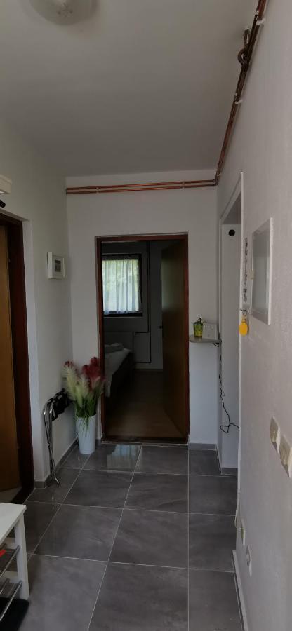 Apartman Deda Rakovica Esterno foto