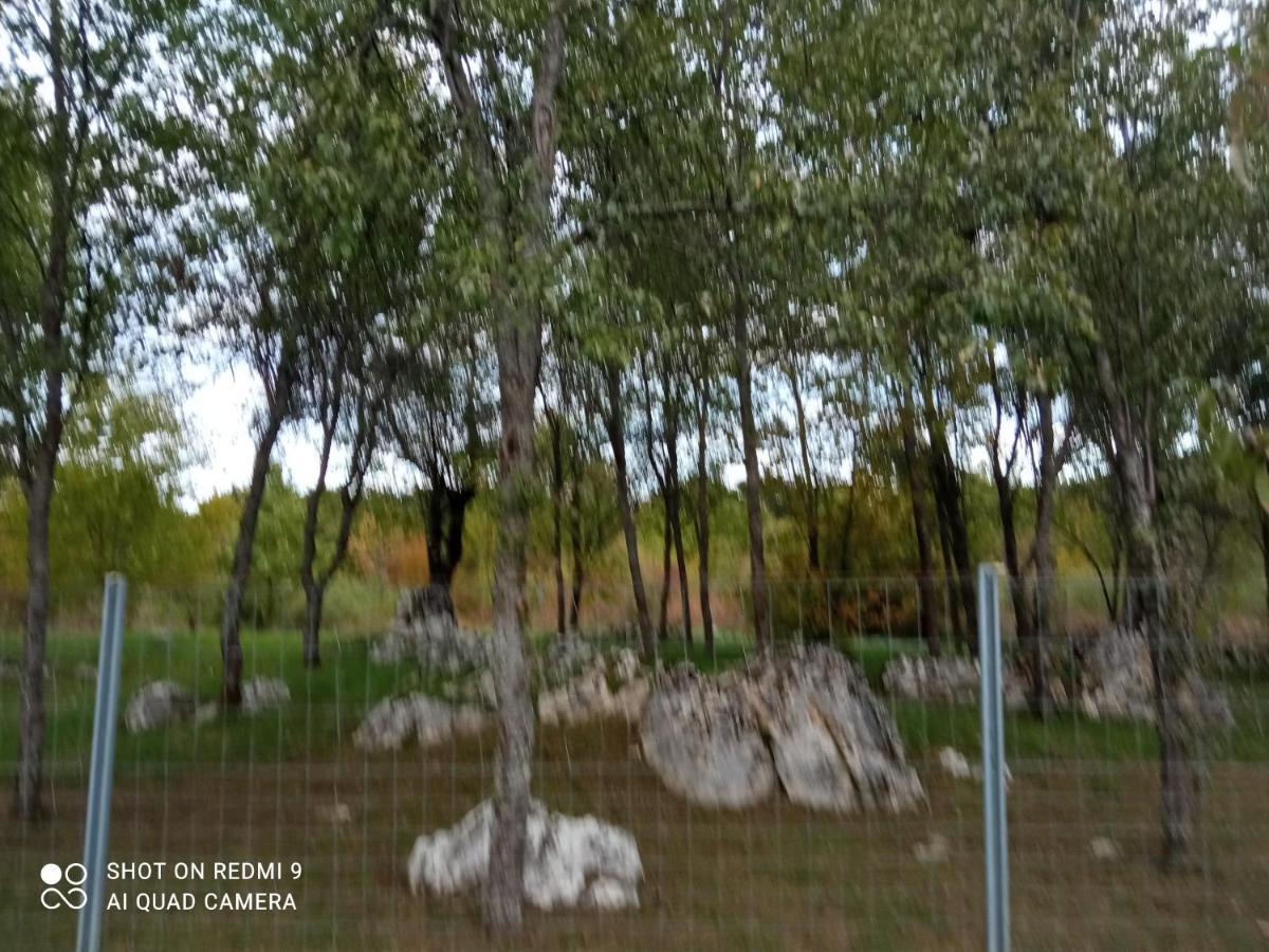 Apartman Deda Rakovica Esterno foto